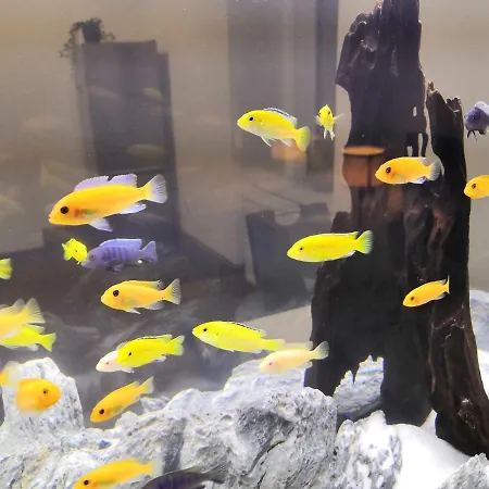 Appartement Slo. Bakov nad Jizerou