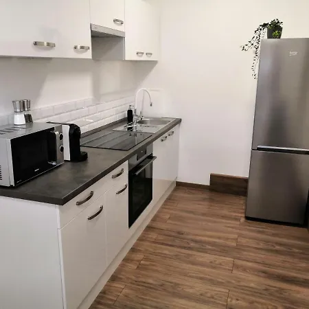 Apartment Slo. Bakov nad Jizerou