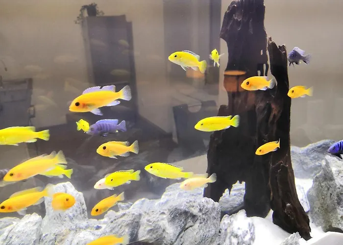 Appartement Slo. Bakov nad Jizerou